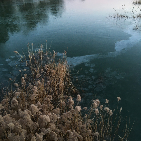 547 :: Winter colours at Insula